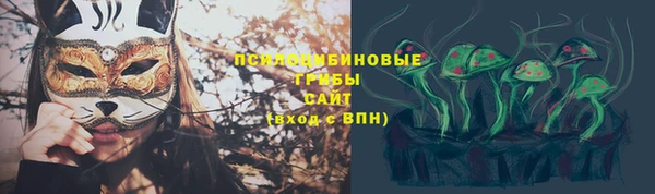 скорость Абаза