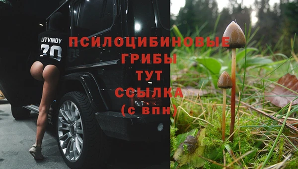 ECSTASY Абинск